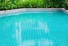 Ashfield NSWswimming-pool-landscaping-17.jpg; ?>